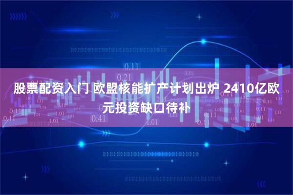 股票配资入门 欧盟核能扩产计划出炉 2410亿欧元投资缺口待补