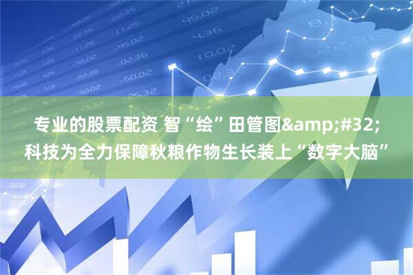 专业的股票配资 智“绘”田管图&#32;科技为全力保障秋粮作物生长装上“数字大脑”